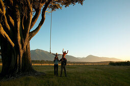 Familie an Schauckelseil an riesigem Baum, Sonnenuntergang, Strand bei Haast, Westküste, Südinsel, Neuseeland
