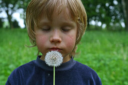 portrait, young boy blowing a dandelion clock, seeds, outdoor, green field, park, MR