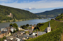 Weinberg und Rhein bei Assmannshausen, Rheingau, Hessen, Deutschland