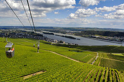 Cable car over vineyards, Ruedesheim am Rhein, Rheingau, Hesse, Germany