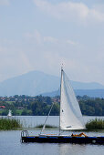 Young woman sunbathing on landing stage, Bavarian Alps in background, lake Staffelsee, Upper Bavaria, Bavaria, Germany