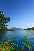 View over lake Walchensee to Walchensee and mount Jochberg, Upper Bavaria, Bavaria, Germany