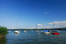 sailing boats at lake Simssee, Chiemgau, Upper Bavaria, Bavaria, Germany