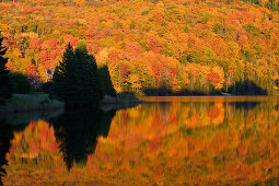 Lake at Dixville Notch in autumn, New Hampshire, , USA