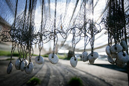 Fischernetz, trocknet im Hafen, Sysne, Gotland, Schweden