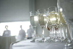 Champagner Gläser, Party, St. Petersburg, Russland, Glas, Alkohol, Getränk, Alkoholisches Getränk, Champagner