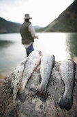 Man fishing at a reservoir, fish in the foreground, Lake, Bavaria, Germany, MR