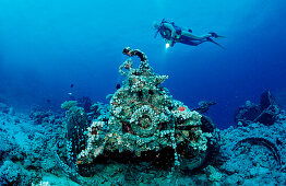 Scuba diver and Truck wreck near Blue Belt shipwreck, Sudan, Africa, Red Sea, Sha'ab Su'adi