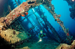 Scuba diver diving on Umbria shipwreck, Sudan, Africa, Red Sea, Wingate Reef
