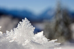 snow crystals, Bavaria, Germany