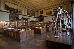 Interior view, Natural History Museum, Museumsquartier, Vienna, Austria