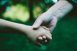 tails, Exterior, Families, Family, Female, Fondness, Girl, Girls, Green, Hand, Hand holding, Hand-hol