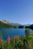 Champferersee, Oberengadin, Graubünden, Schweiz