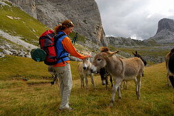 young woman with herd of donkeys, Forcella Giau, Alta Via delle Dolomiti No. 1, Dolomites, Cortina, Venezia, Italy