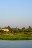 cruise on the Nile, houses and palm trees at bank, Nile between Luxor and Dendera, Egypt, Africa