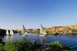 Segelboote (Felluken) auf dem Nil, Assuan, Ägypten, Afrika