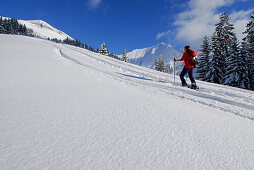 Skitourengeher im Aufstieg zum Joch, Lechtaler Alpen, Tirol, Österreich