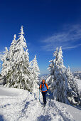 Skitourgeherin beim Aufstieg zum Spieser, Allgäuer Alpen, Bayern, Deutschland