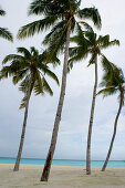 Beach with palm trees, One & Only Resort Reethi Rah, Maldives