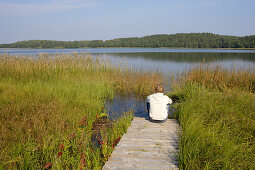 Am Lusis See in Paluse, Aukstaitija Nationalpark, Litauen