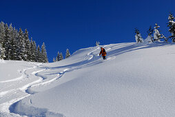 Skier skiing downhill, Feuerstaetter Kopf, Allgaeu Alps, Vorarlberg, Austria