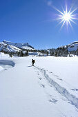 Backcountry skier in fresh snow along frozen Lee Vining Creek, Inyo National Forest, Sierra Nevada Mountains, California