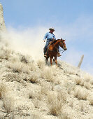Cowboy on horse riding down hill showing dust clouds