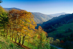 Landschaft im Herbst bei Todtnau, Schwarzwald, Baden-Württemberg, Deutschland