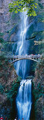 Wasserfall, Multnomah Falls, Columbia River Gorge, Oregon, USA