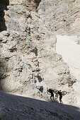 Mountainbiker tragen ihre Räder, Tofana, Dolomiten, Venetien, Italien