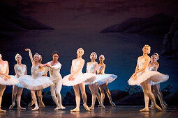 Swan Lake in the Conservatory theatre, Saint Petersburg, Russia
