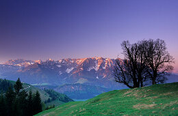 Wilder Kaiser range and Zahmer Kaiser range in alpenglow, Wandberg, Chiemgau Alps, Tyrol, Austria