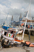 Aasgeier lungern vor Fischerboote im Hafen nahe Mercado Ver O Peso Markt, Belem, Para, Brasilien, Südamerika