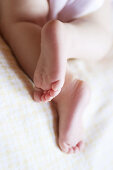  0 to 6 months, 0-6 months, 1 to 6 months, 1-6 months, Babies, Baby, Barefeet, Barefoot, Child, Children, Close up, Close-up, Closeup, Color, Colour, Contemporary, Crossed feet, Delicate, Detail, Details, Feet, Foot, Fragile, Fragility, Human, Indoor, Ind
