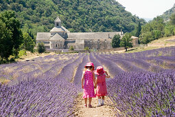 2 and 4 year old sisters, standing with their backs to camera in a field of lavender, Provence, France