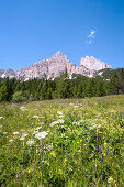 Monte Cristallo, Dolomites, Veneto, Italy