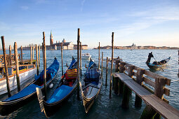 San Giorgio Maggiore, Gondeln im Vordergrund, Venedig, Venetien, Italien