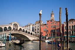 Rialto Bridge, Grand Canal, Venice, Veneto, Italy