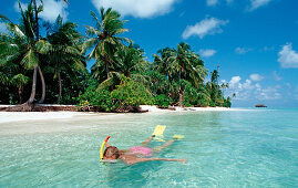 Schnorcheln vor Palmenstrand, Malediven, Indischer Ozean, Medhufushi, Meemu Atoll