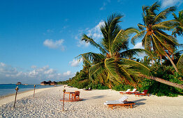 Maledivischer Strand, Malediven, Indischer Ozean, Medhufushi, Meemu Atoll