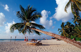 Strand auf Malediveninsel, Malediven, Indischer Ozean, Medhufushi, Meemu Atoll