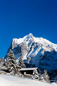 Alpine huts in front of mountain Wetterhorn, Grindelwald, Bernese Oberland, Canton of Bern, Switzerland