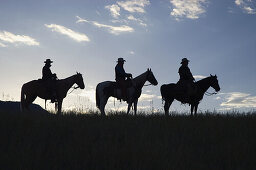 Silhouettes against dawn sky. Montana. USA