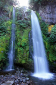 Die Dawson Falls im Mt. Egmont Nationalpark auf der Nordinsel, Neuseeland