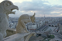 Aussicht von Kathedrale Notre Dame, gotische Kirche, grotesk, Dämon, Wasserspeier, Drolerie, 4. Arrondissement, Paris, Frankreich