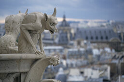 Aussicht von Kathedrale Notre Dame, gotische Kirche, grotesk, Dämon, Wasserspeier, Drolerie, 4. Arrondissement, Paris, Frankreich