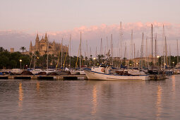 Fischerboote im Hafen mit Kathedrale La Seu in der Abenddämmerung, Palma, Mallorca, Balearen, Spanien, Europa