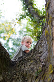 Junge klettert auf einen Baum, Bayern, Deutschland
