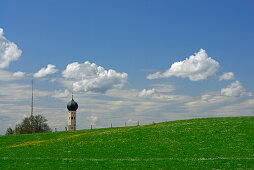 sea of dandelion and spire, onion-shaped dome, Upper Bavaria, Bavaria, Germany