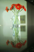 Stilleben von einer Blumenvase mit Blumen, Dekoration, Wohnen, Lifestyle